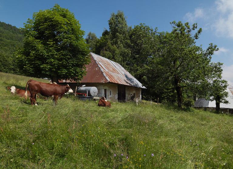 Chalet d'alpage