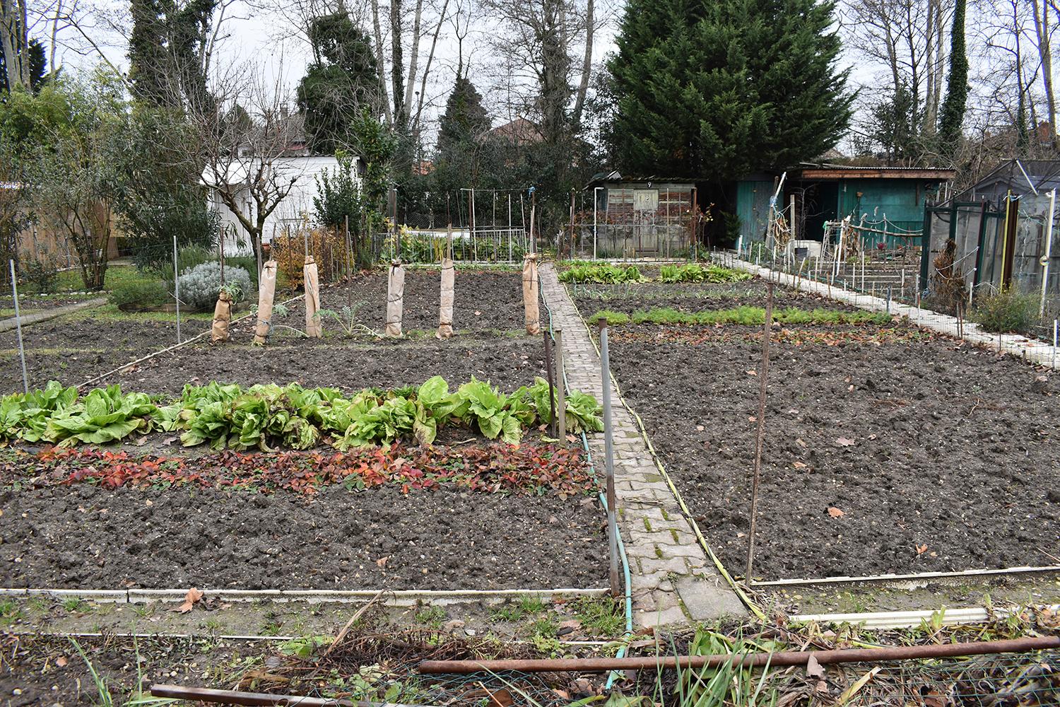 Jardins ouvriers de la Rize