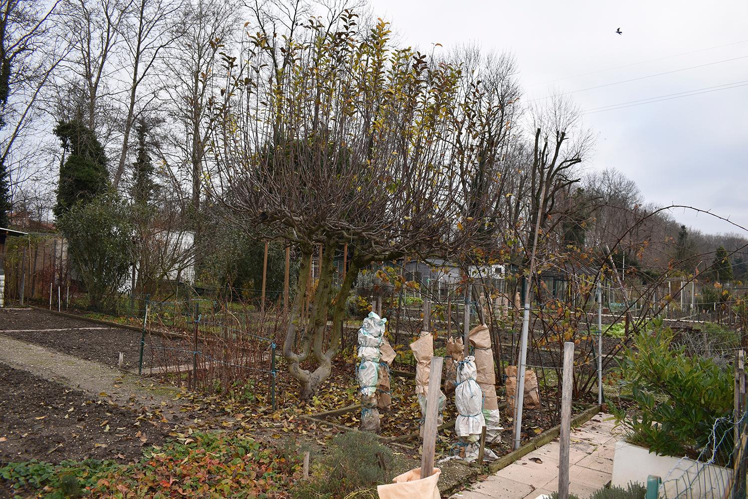 Jardins ouvriers de la Rize