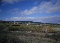 Les cabanes de vigne, dites loges de vigne, du canton de Boën et de la commune de Sail-sous-Couzan