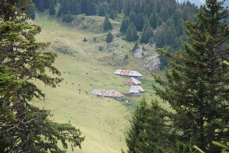 Chalets du Haut du Four