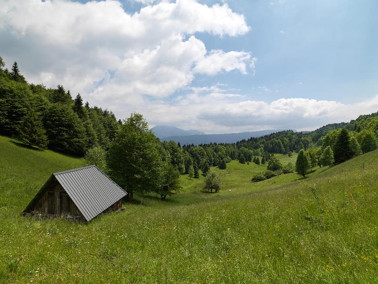 Chalet de la Revêche (grange, cabane)