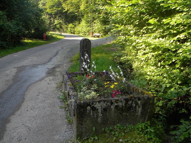 Fontaine abreuvoir