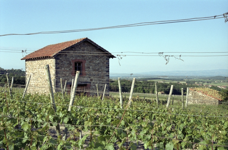 Les cabanes de vigne, dites loges de vigne, du canton de Boën et de la commune de Sail-sous-Couzan