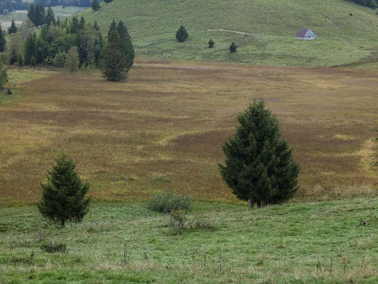 Les alpages de Saint-François-de-Sales