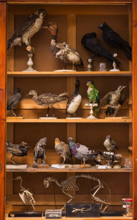 Présentation des collections pédagogiques, scientifiques et techniques, du Lycée Émile-Loubet