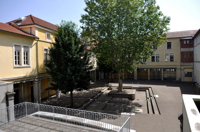 Collège de jésuites, puis institut national, école centrale supplémentaire, école communale secondaire, collège communal et école pratique de commerce et d'industrie, lycée, actuellement collège François-Ponsard