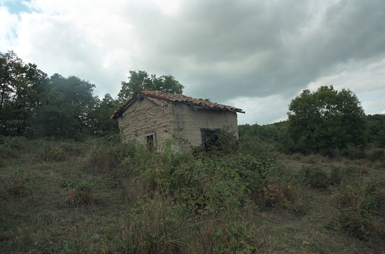 Les cabanes de vigne, dites loges de vigne, du canton de Boën et de la commune de Sail-sous-Couzan