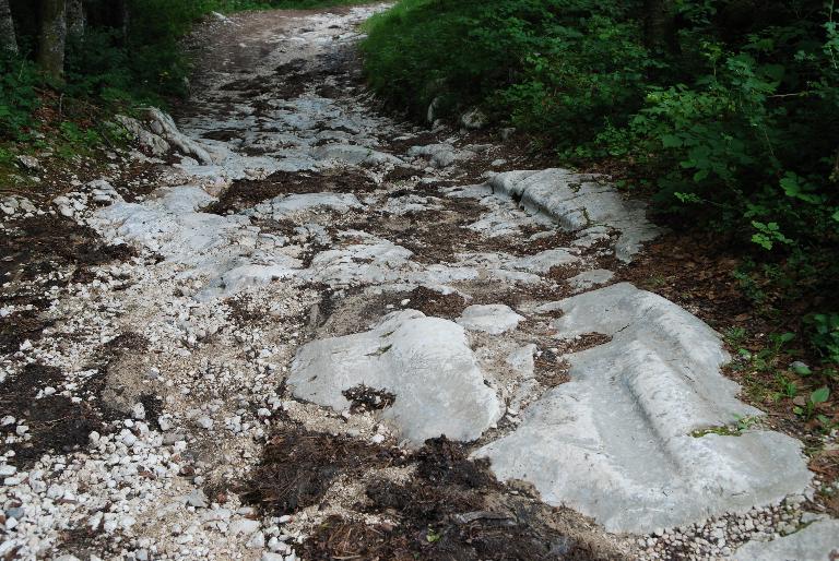 Les alpages de la montagne de Bange (Arith)