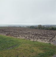 Culture et architecture de la vigne