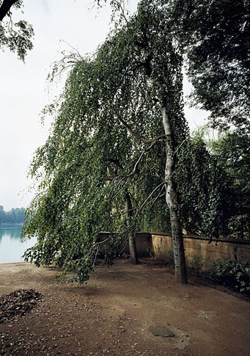 Parc de la Tête d'Or