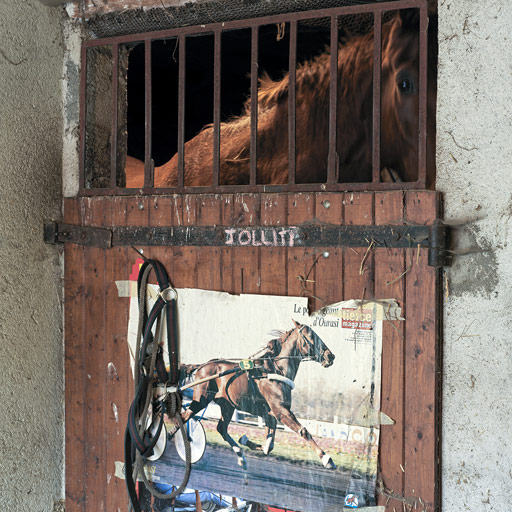 Ferme, puis élevage de chevaux de course