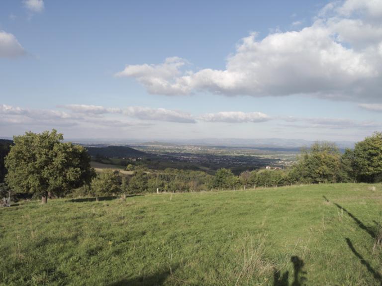 Présentation du canton de Montbrison