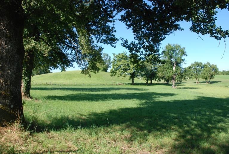 Présentation de la commune de Mûres