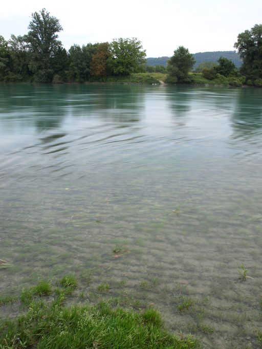 Bac, puis bac à traille de Saint-Vulbas (vestiges)