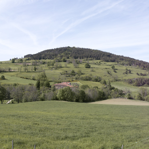 Présentation de la commune d'Essertines-en-Châtelneuf