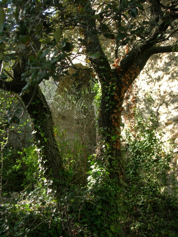 Présentation de la commune de Montbrison-sur-Lez