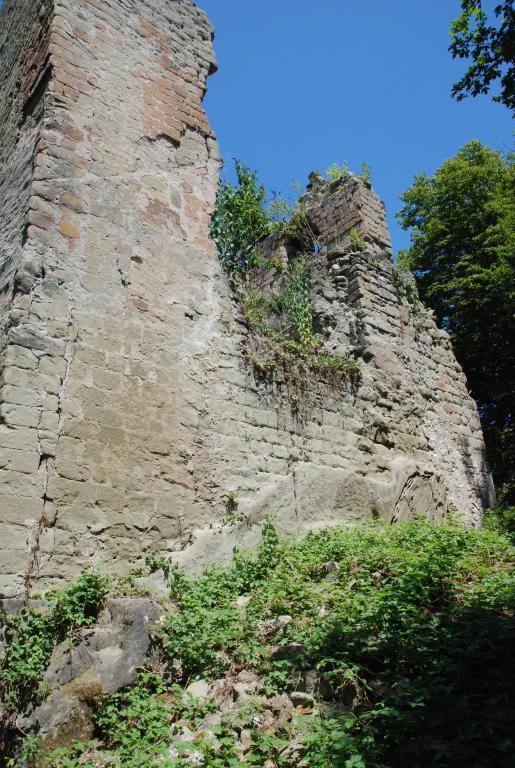 Maison forte, dite château de Pierre Charve