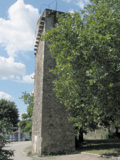 Bac, puis bac à traille de Grigny (disparu) ; pile (vestiges)