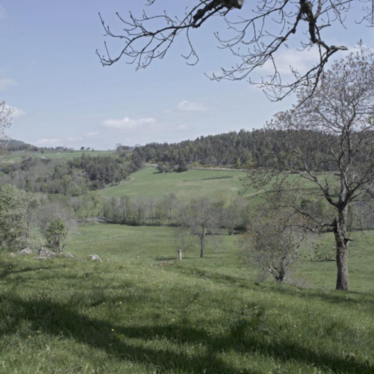 Présentation de la commune d'Essertines-en-Châtelneuf