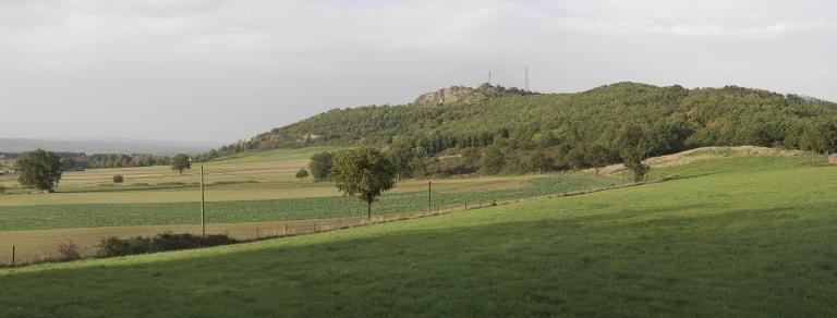 Présentation du canton de Montbrison