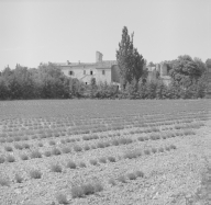 prieuré Saint-Esprit de Tourretes, puis ferme des Tourrettes