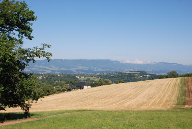 Présentation de la commune de Mûres