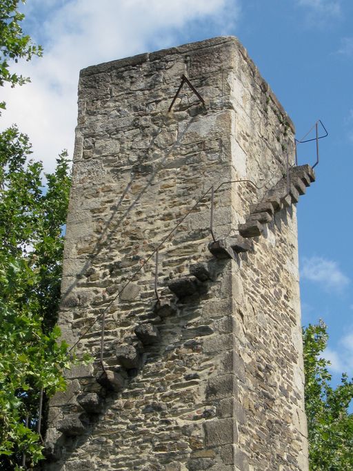 Bac, puis bac à traille de Grigny (disparu) ; pile (vestiges)