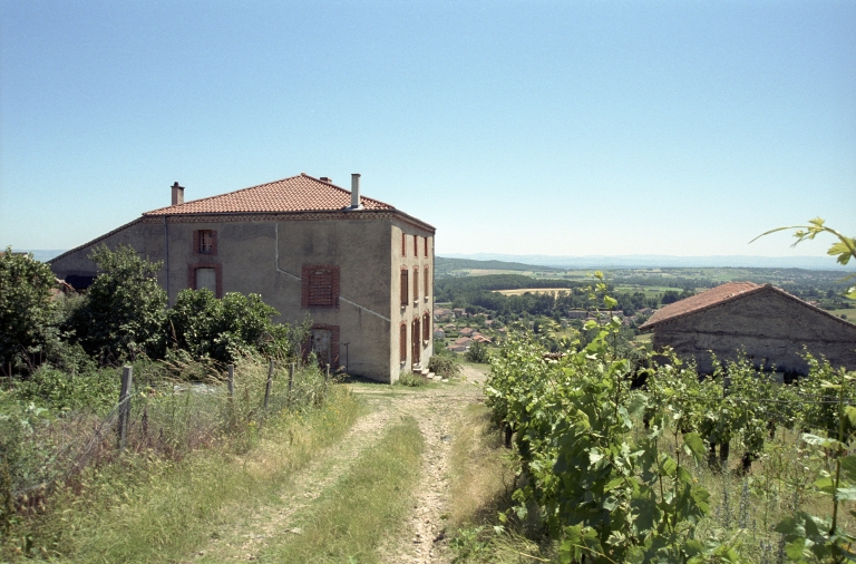 Ferme vigneronne