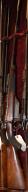 Carabine de chasse Westley Richards