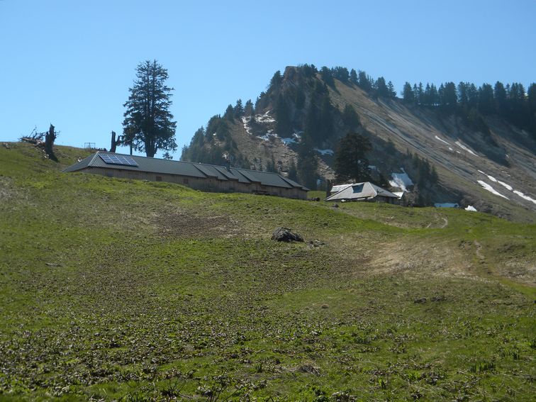 Chalets de la Combe