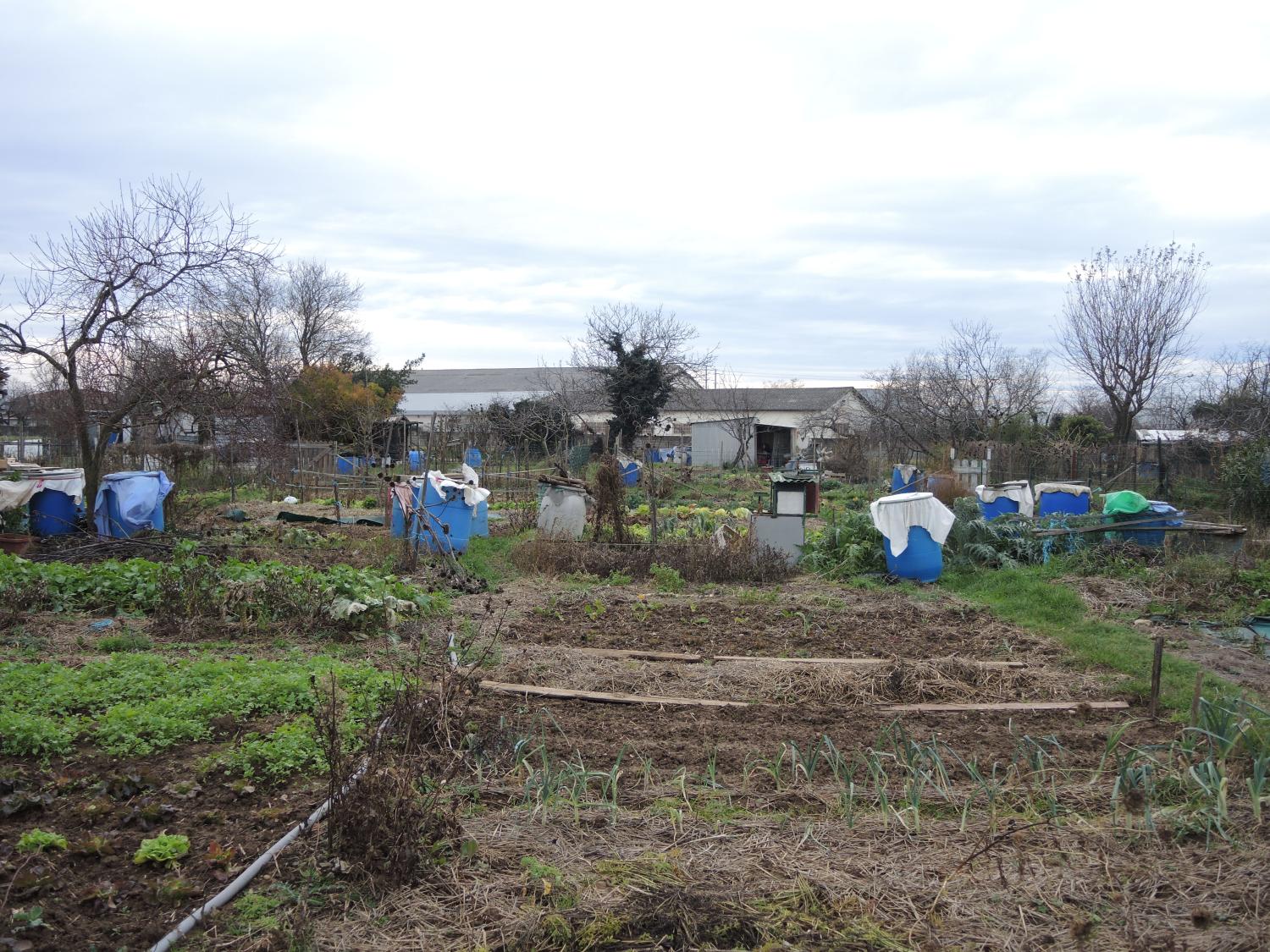 Jardins ouvriers dit jardins cheminots de Saint-Priest et cité SNCF