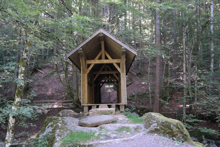 Pont couvert en bois de Bellevaux, dit pont piétonnier des Places