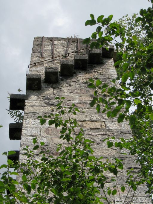 Bac à traille d'Irigny dit bac de Célette ou de Sellettes (disparu) ; piles (vestiges)