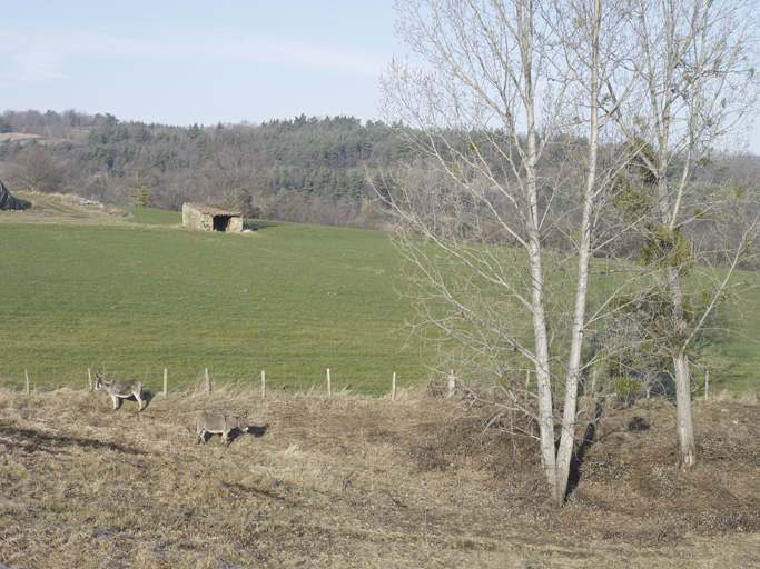 Cabane de vigneron, dite loge de vigne