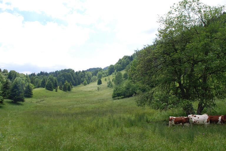 Les alpages de la montagne de Bange (Arith)