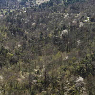 Présentation de la commune d'Essertines-en-Châtelneuf