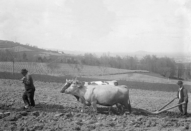 Présentation de la commune de Lézigneux