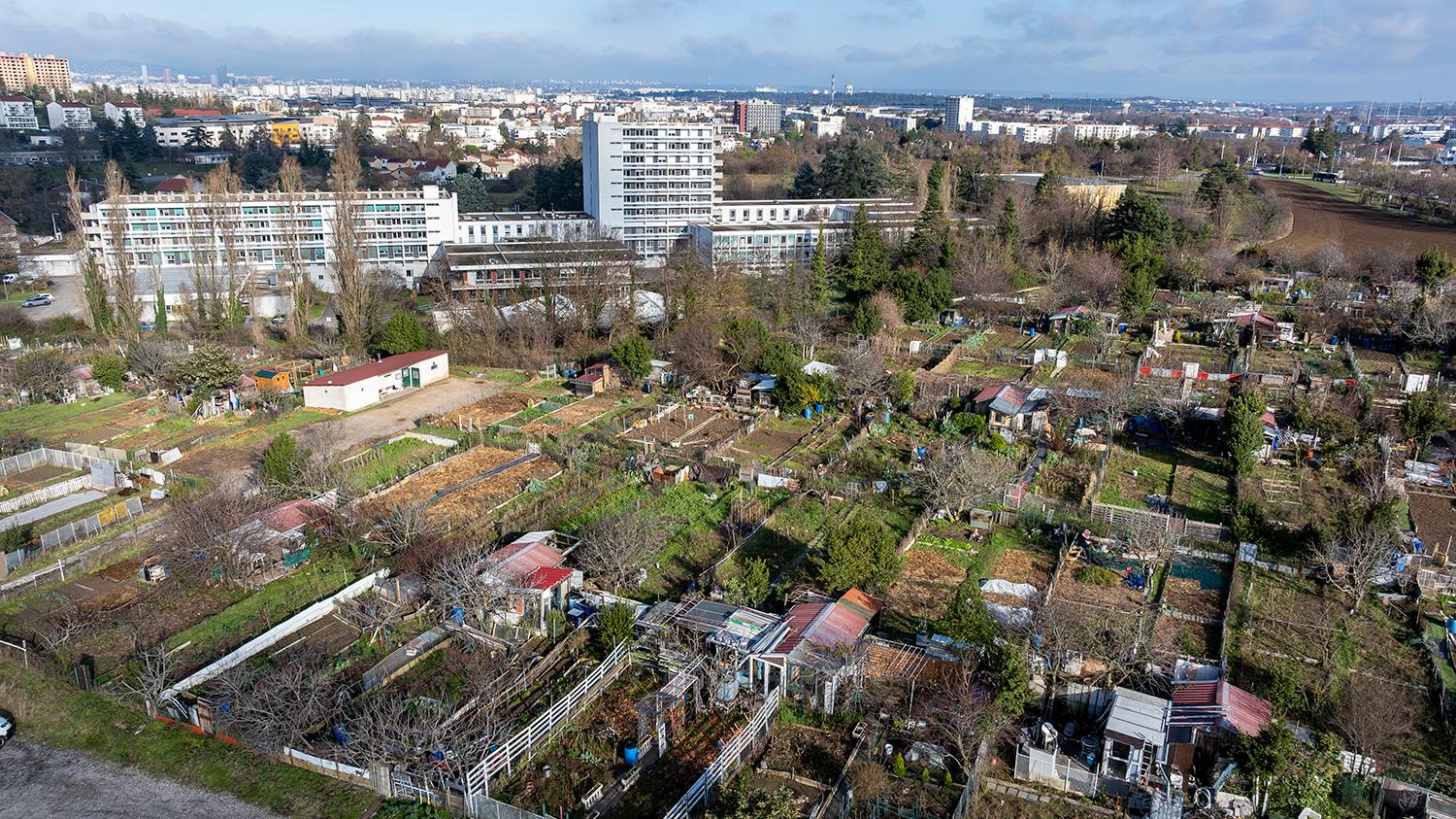 Jardins ouvriers/familiaux de Vénissieux rue de la Garaine