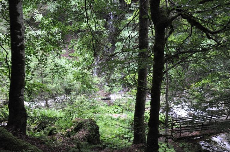 Moulin à farine et scierie du Nant Rouge actuellement vestiges
