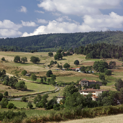 Présentation de la commune d'Essertines-en-Châtelneuf