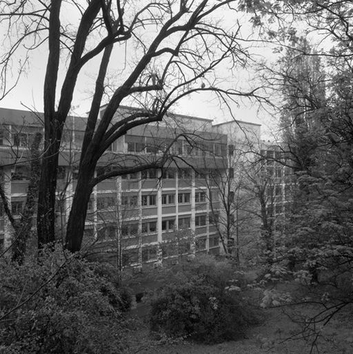 Hospice, puis hôpital pédiatrique Debrousse