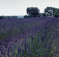 Présentation de la commune de Chamaret