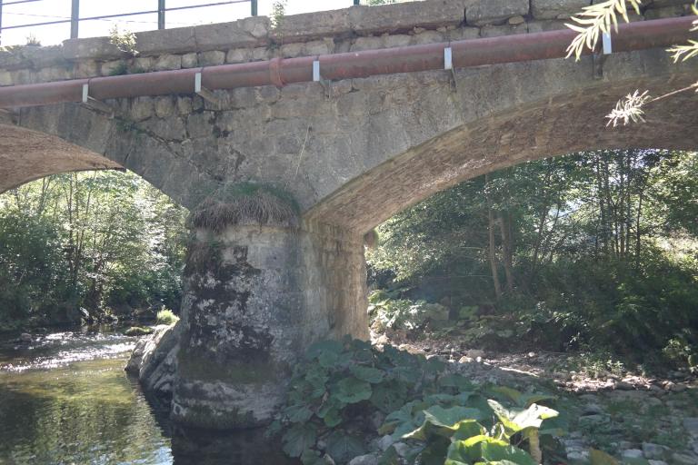Pont des Doubines