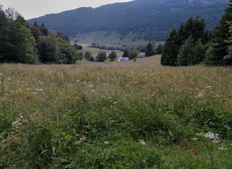 Les alpages du col des Prés (Aillon-le-Jeune, Thoiry)