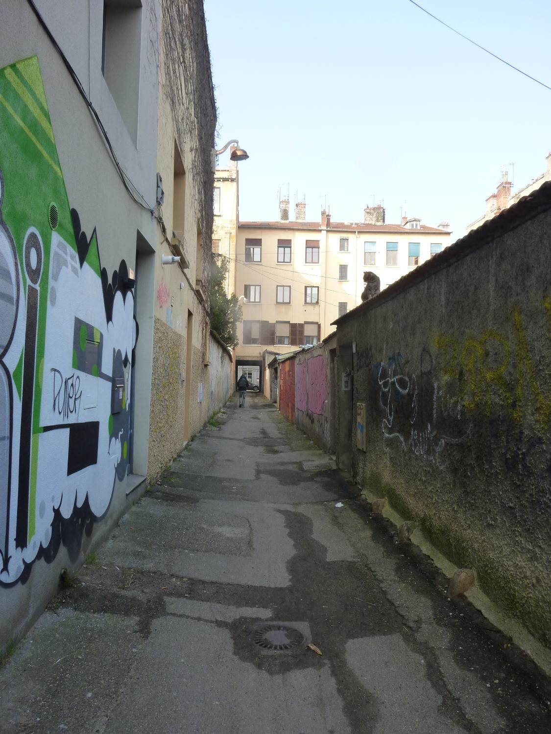 maisons passage Lamure