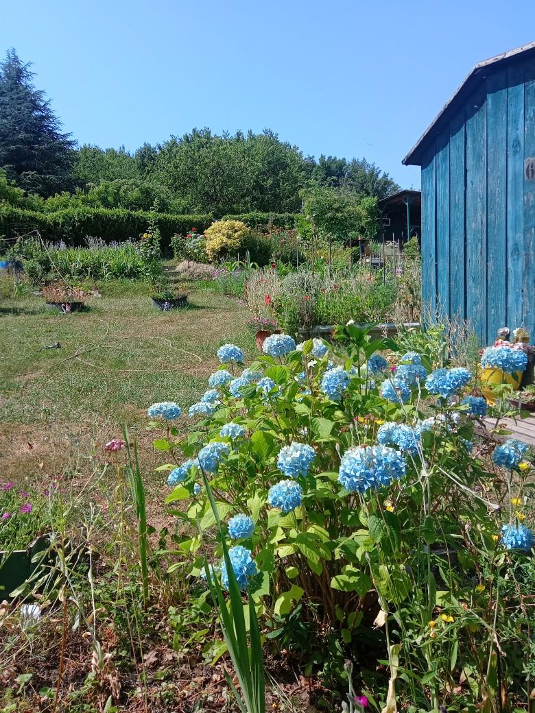 Jardins ouvriers de Bel Air