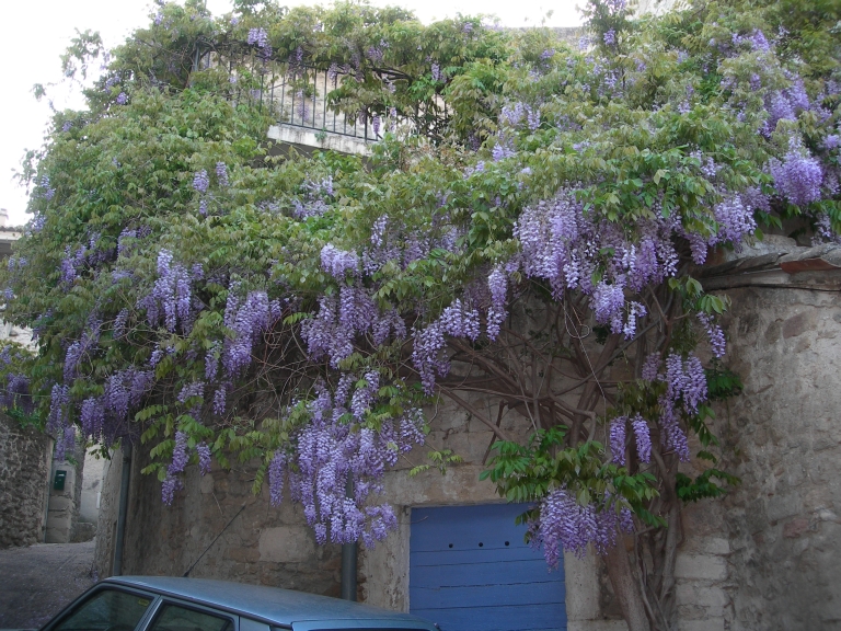 Les maisons de la commune de Grignan