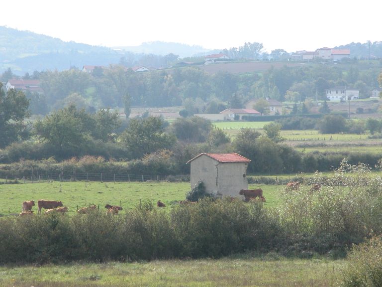 Cabane de vigneron, dite loge de vigne