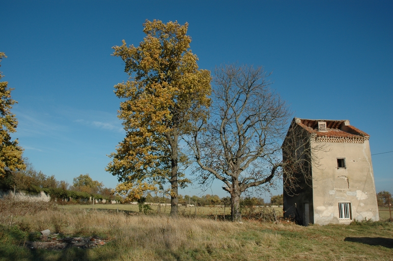 Pigeonnier